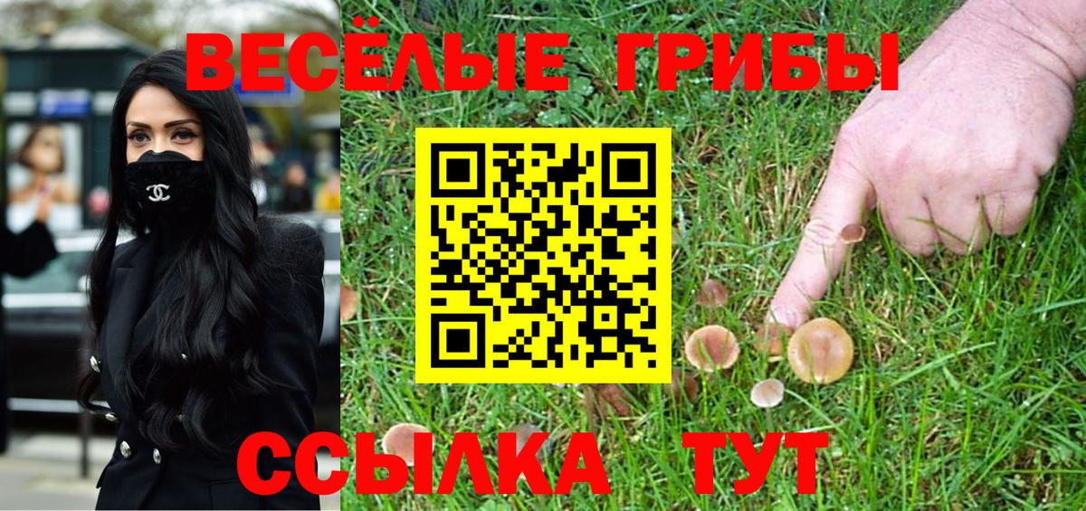 Псилоцибиновые грибы Cubensis Гуково
