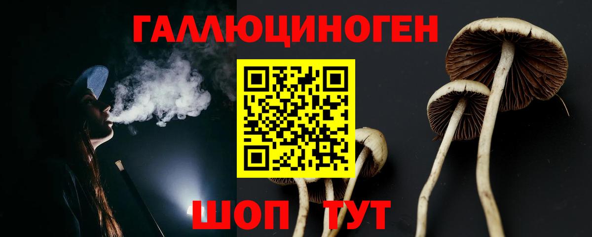 что такое   Вход с VPN  Гуково  Псилоцибиновые грибы мицелий 